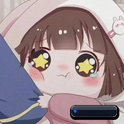 跨洋追星